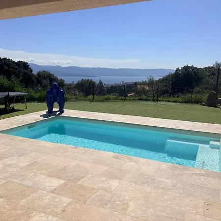 Moderne Piscine Vue فيلة أجاكسيو